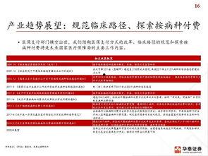 国产51页,揭秘中国科技发展的新篇章