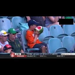 娱乐吃瓜走红视频大全,笑料百出，精彩纷呈